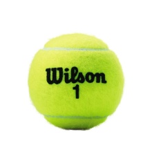 Wilson Tennisbälle Championship Dose 3er